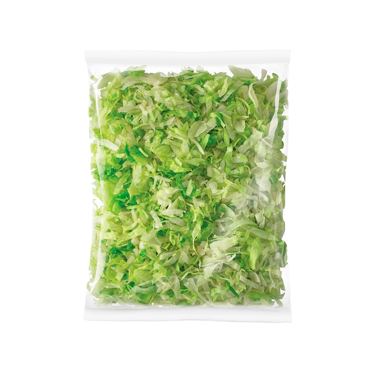 Alface americana 6mm fresca La Vita