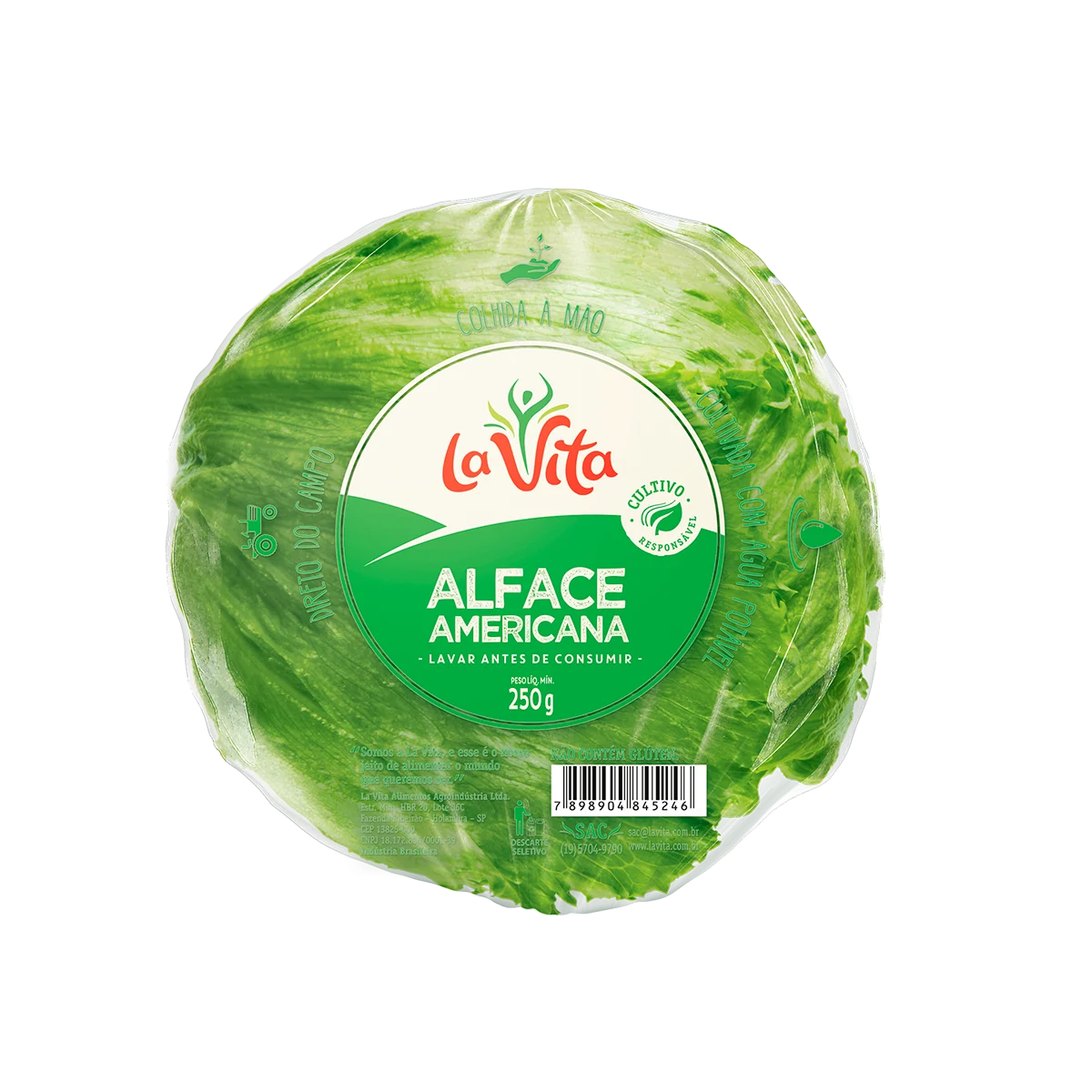 Alface americana La Vita 250g fresca e higienizada