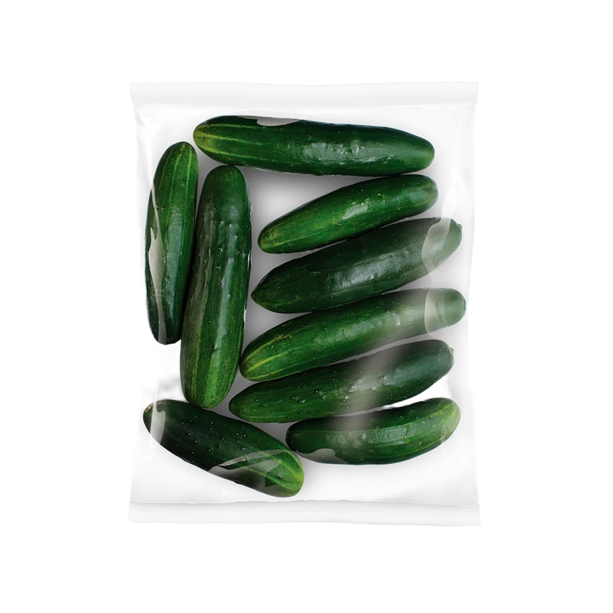 Pepino fresco La Vita selecionado para saladas