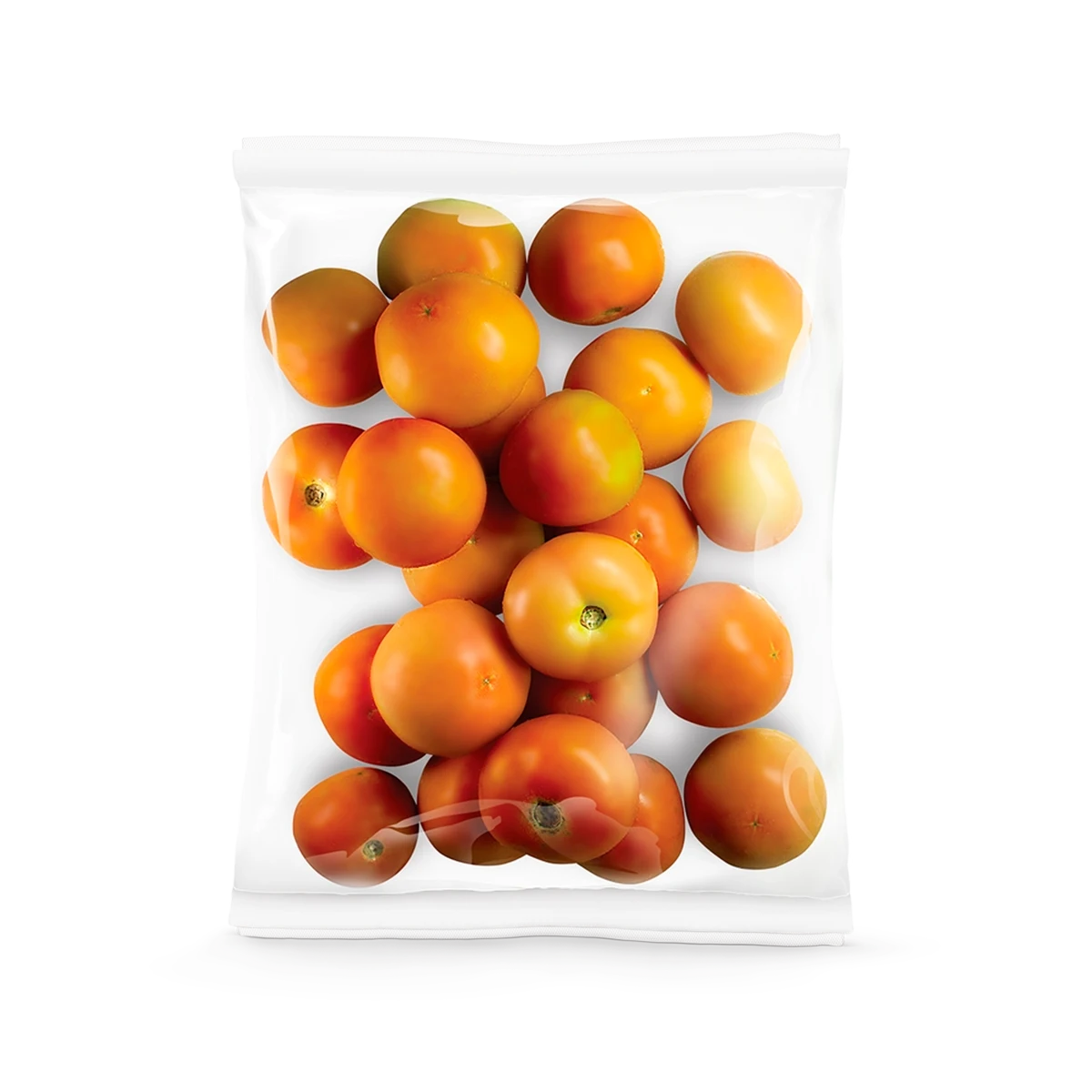 Tomate fresco La Vita selecionado para consumo