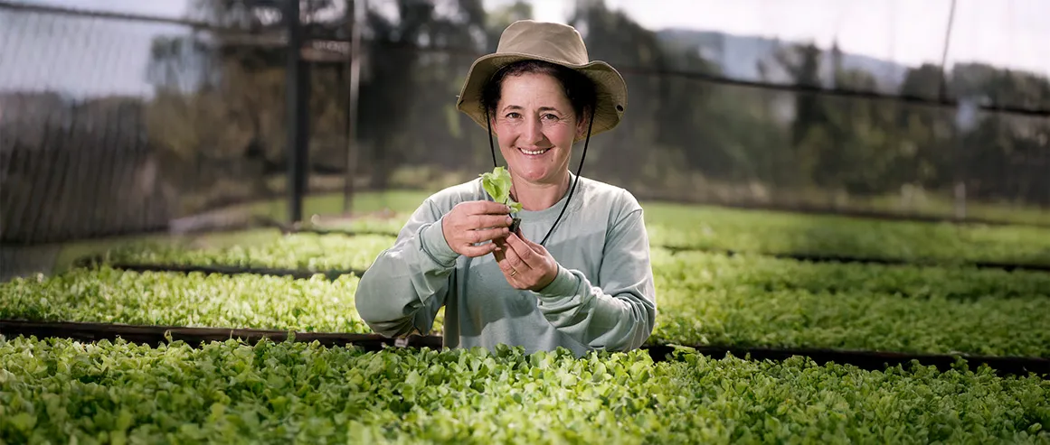 Colaboradora da La Vita segurando muda de alface em estufa