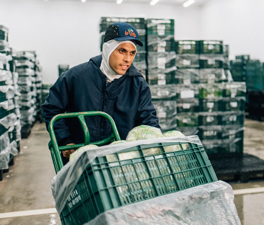 Colaborador transportando caixas de hortaliças embaladas na unidade La Vita